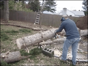 500_20872640_1440661294.gif