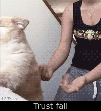 a7553c2738a5b9a1152b8eccb7caa1ba.gif