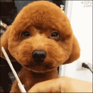 98fac138d44617b6f4fe160cecaf1ae1.gif