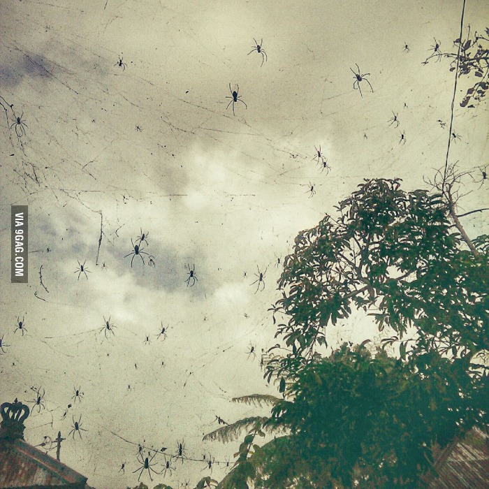 The-biggest-nope-in-the-world---Bali-sky.jpg