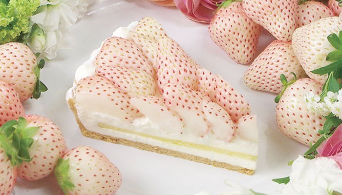 1462191185146.png : (혐오주의)생크림 케이크와 케미 돋는 화이트 딸기 등장