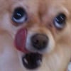 icon_31