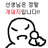 개돼지
