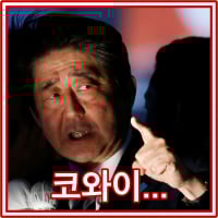 신조 21