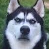 icon_6