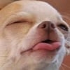 icon_2