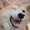 icon_4
