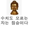 부처콘 (31)