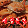 icon_1