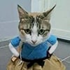 icon_27