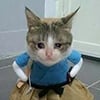 icon_28