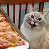 icon_36