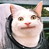 icon_21