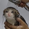 icon_43