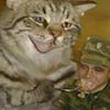 icon_38