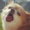 icon_47