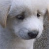 icon_40