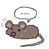 icon_13