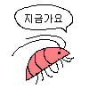 icon_11 (1)