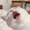 icon_4