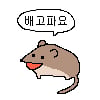 icon_18