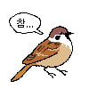 icon_17