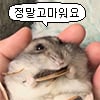 icon_1