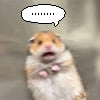 icon_11