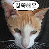 icon_35