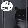 icon_34