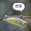 icon_30