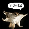 icon_20