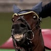 icon_29
