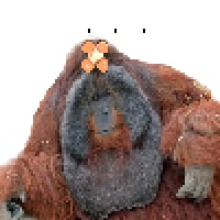 icon_17