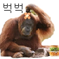 icon_10