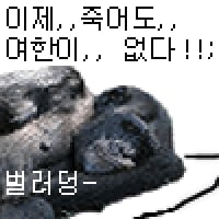 icon_2