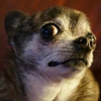 icon_16
