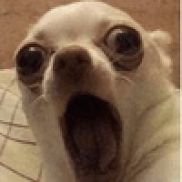 icon_22