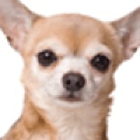 icon_1