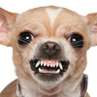 icon_2