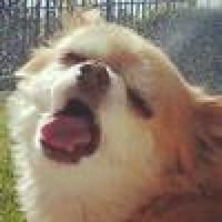 icon_15