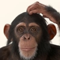 7cae9d3ce2b825e40780297c90870e0aa00d434b2fc37aacbdcc510aa6df1..