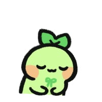 12_감사콩
