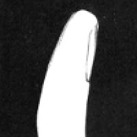 손1