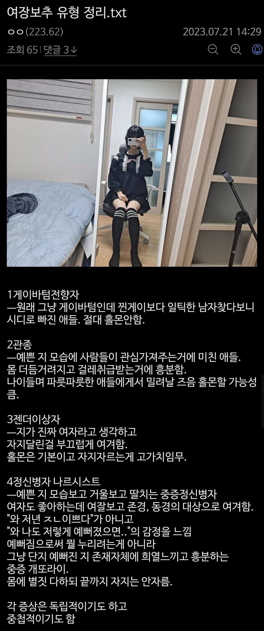 헬갤보추 여장보추 유형 정리...jpg - DogDrip.Net 개드립
