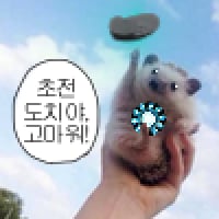 icon_1