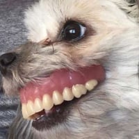 1000000507
