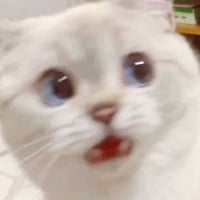 1000000516