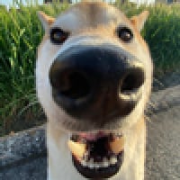 icon_12