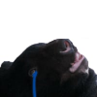 icon_4